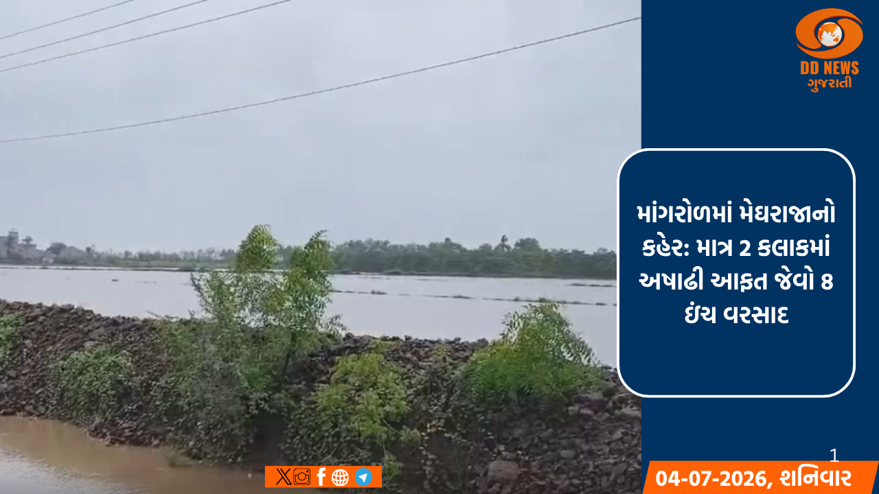 માંગરોળમાં મેઘરાજાનો કહેર