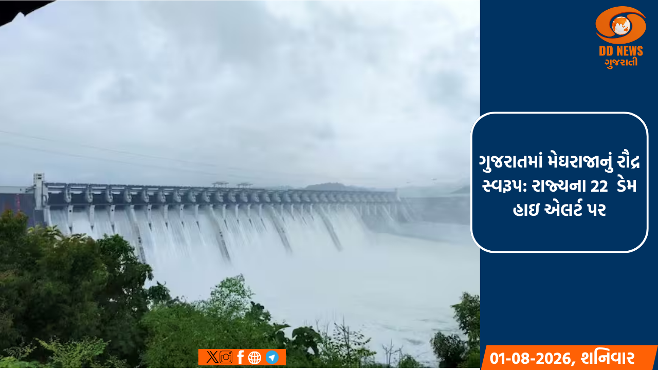 ગુજરાતમાં મેઘરાજાનું રૌદ્ર સ્વરૂપ: રાજ્યના 22 ડેમ હાઇ એલર્ટ પર