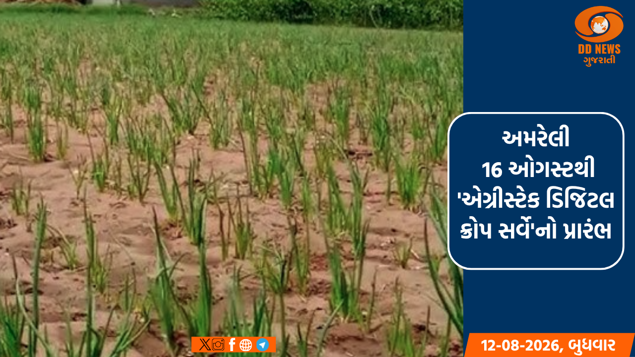 અમરેલી: 16 ઓગસ્ટથી 'એગ્રીસ્ટેક ડિજિટલ ક્રોપ સર્વે'નો પ્રારંભ