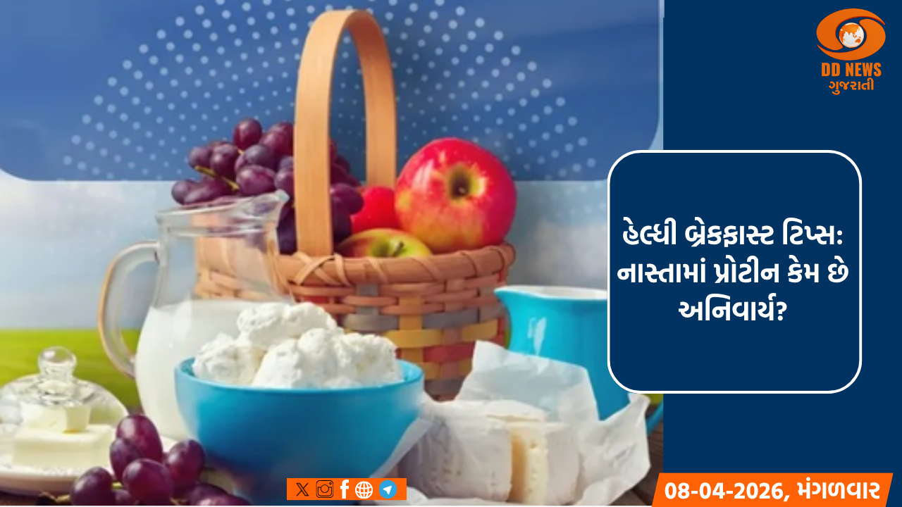 સવારના નાસ્તામાં કેમ જરૂરી છે પ્રોટીન? જાણો તમારી પ્લેટમાં કઈ વસ્તુઓનો કરશો સમાવેશ?