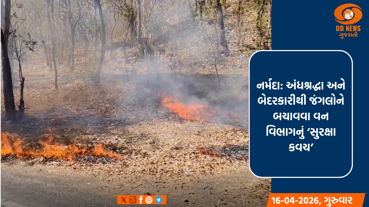 નર્મદા: અંધશ્રદ્ધા અને બેદરકારીથી જંગલોને બચાવવા વન વિભાગનું ‘સુરક્ષા કવચ’