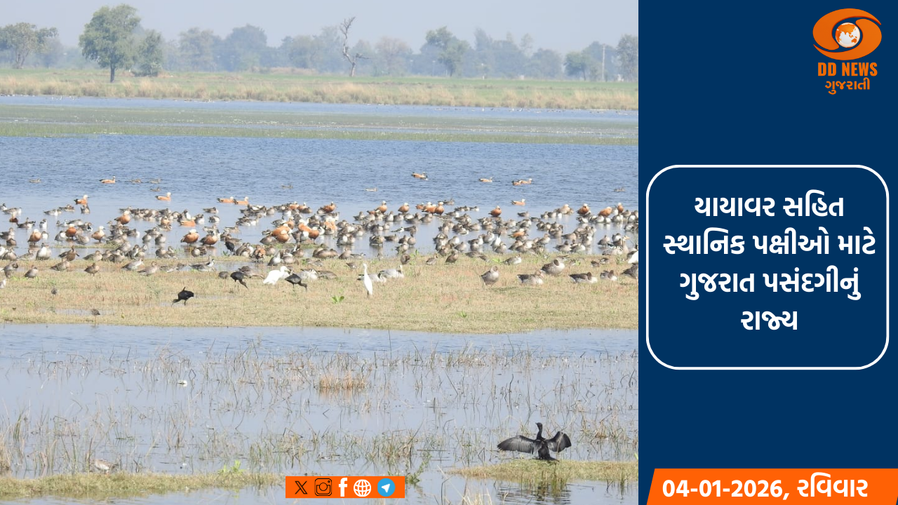 નડિયાદ: મુખ્યમંત્રી ભૂપેન્દ્ર પટેલ સ્વતંત્રતા પર્વની પૂર્વ સંધ્યાએ એટ હોમ કાર્યક્રમમાં હાજરી આપશે 
