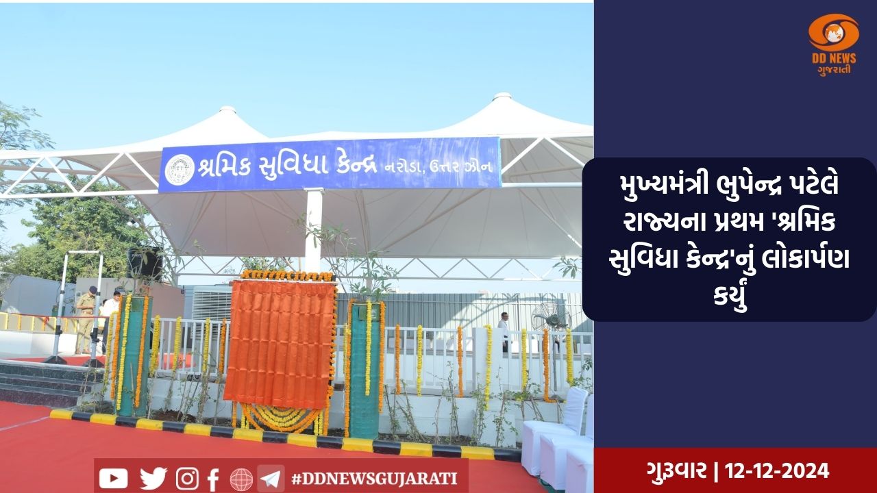 નીતિ આયોગના વાઈસ ચેરમેન અને મુખ્યમંત્રી વચ્ચે મુલાકાત