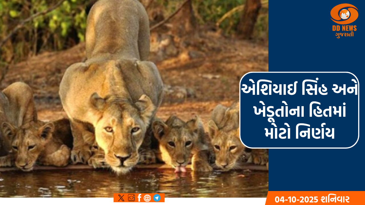 ભાવનગર રેલવે ડિવિઝનના લોકો પાયલોટની પ્રશંસનીય કામગીરી, ઈમરજન્સી બ્રેક લગાવી બચાવ્યા 10 સિંહો