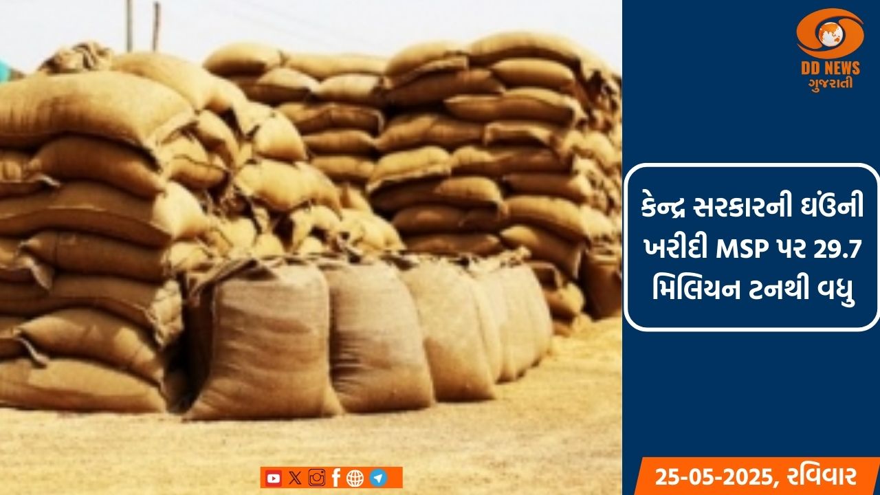 કેન્દ્ર સરકારની ઘઉંની ખરીદી MSP પર 29.7 મિલિયન ટનથી વધુ 
