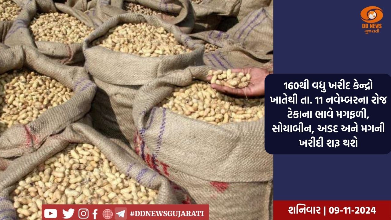 160થી વધુ ખરીદ કેન્દ્રો ખાતેથી તા. 11 નવેમ્બરના રોજ ટેકાના ભાવે મગફળી, સોયાબીન, અડદ અને મગની ખરીદી શરૂ થશે