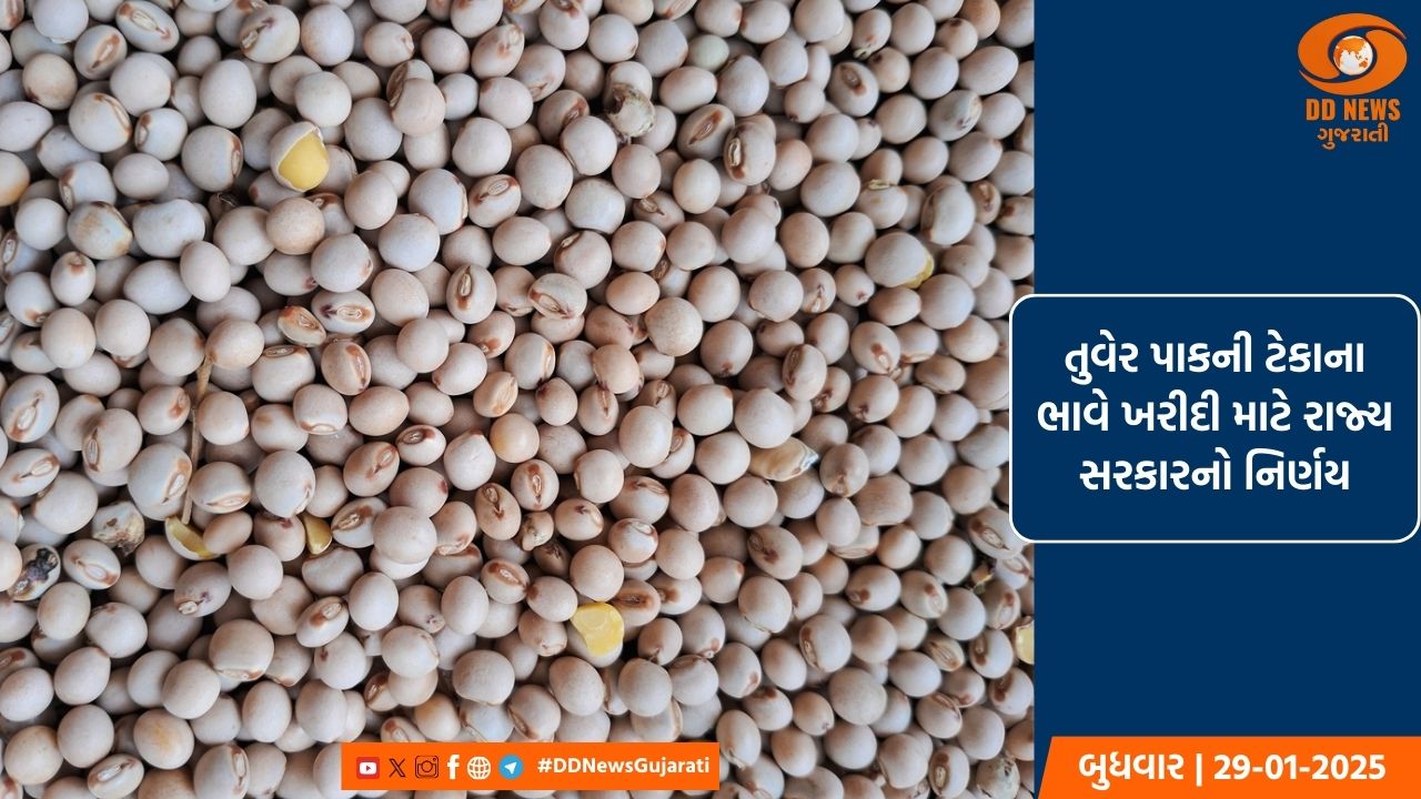 તુવેર પાકની ટેકાના ભાવે ખરીદી માટે રાજ્ય સરકારનો નિર્ણય